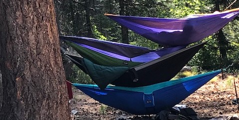 Boys Camping in Hammocks